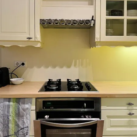 City-apartment Near Stephansdom 비엔나